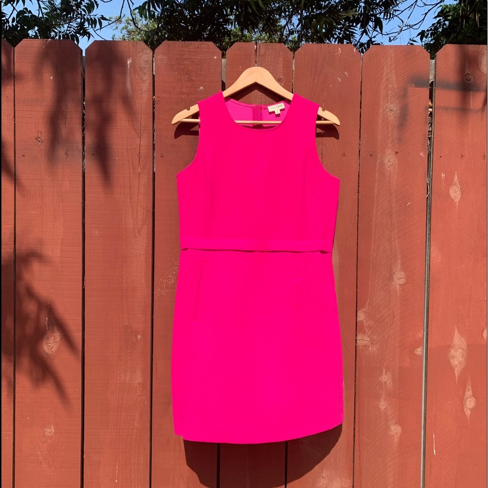 Hot Pink Maison Jules Dress